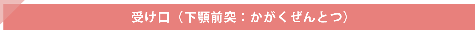 下顎前突