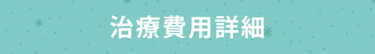 治療費用詳細